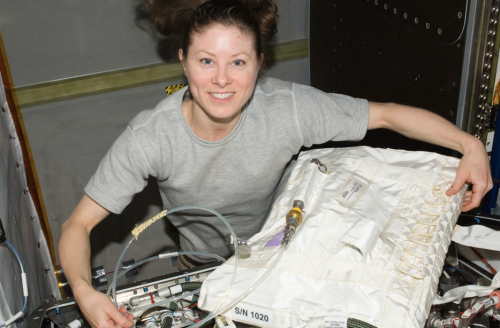 Astronaut Tracy Caldwell Dyson on Space Station. Credit: NASA
