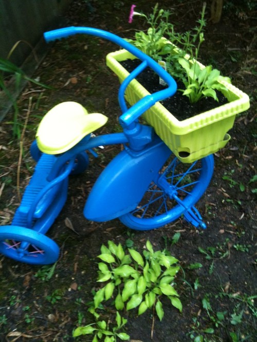 Tricycle Planter in my yard